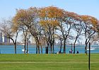 IMG_0783
