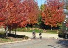 IMG_0796