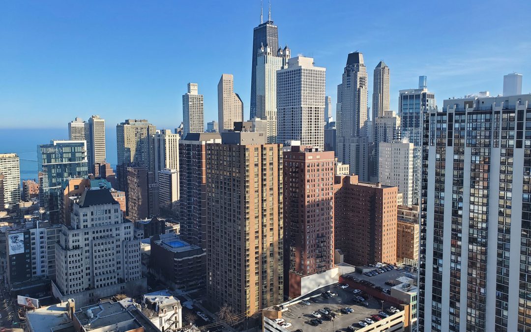 Sunny Winter Afternoon